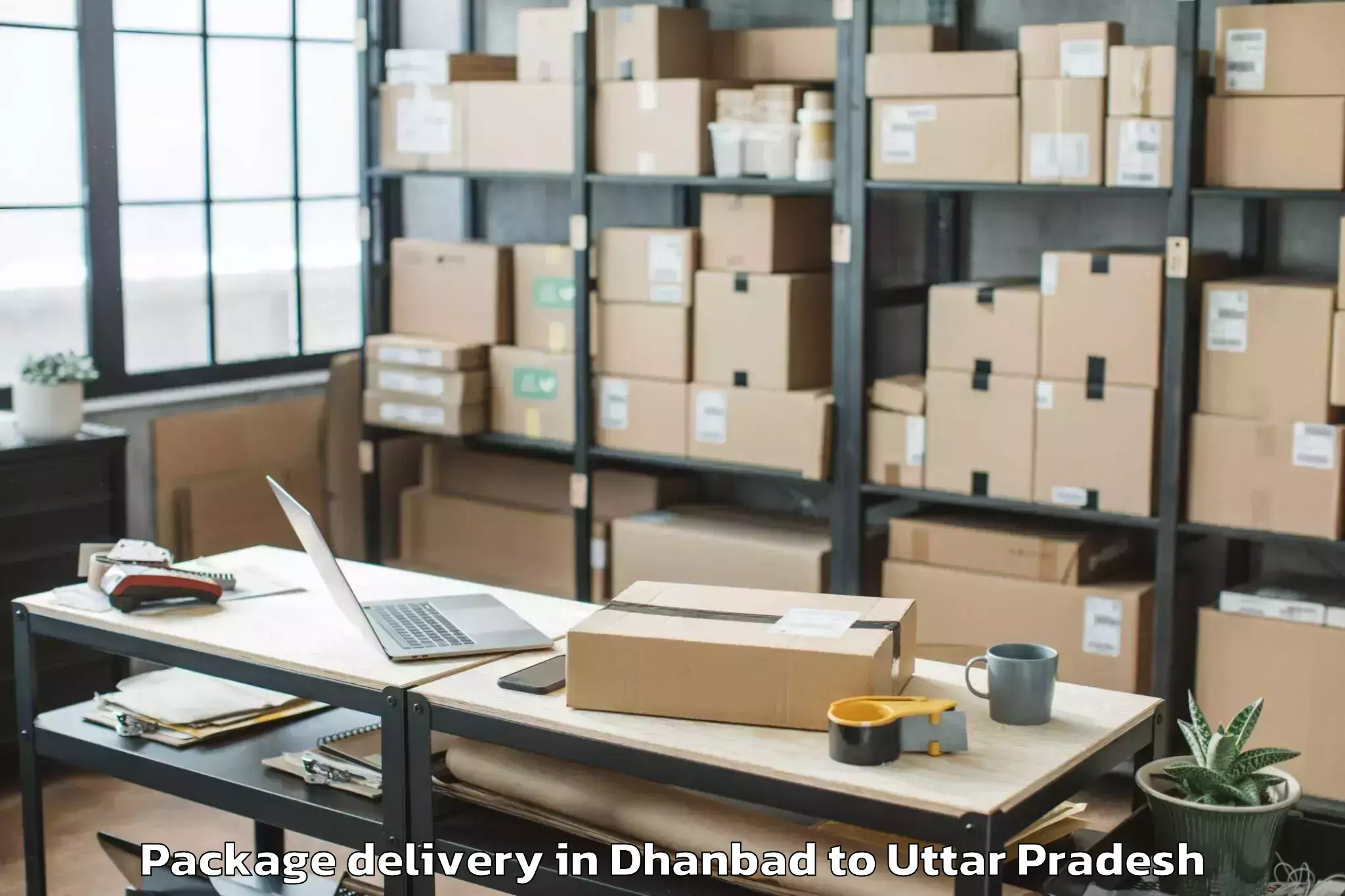 Easy Dhanbad to Atraulia Package Delivery Booking